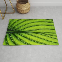 Green leaf watercolor Rug