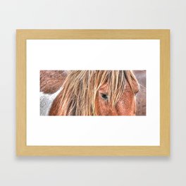 Shaggy Island Pony Framed Art Print