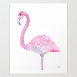 Pink Flamingo Art Prints For Any Decor Style Society6