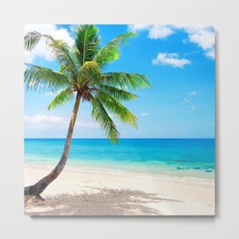 palm tree by the beach Metal Print | Green, Palm, Nature, Palmtree, Summer, Trees, Tree, Sun, Palmtrees, Cute 