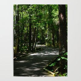 Down the Steffee House Trail Poster