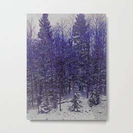 Winter Scene in New Mexico Metal Print | Winter, Photo, Trees, Digital, Newmexico, Southwest, Aspentrees, Digital Manipulation, Evergreen 