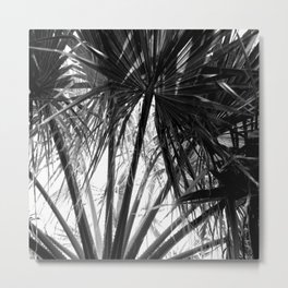 Palm Tree Tropical Leaves Silhouette Metal Print | Photo, Trendingart, Nature, Palm, Tree, Black And White, Vacation, Tropicalleaves, Palmfronds, Hawaii 