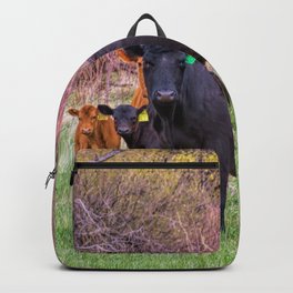 Who? What? Backpack | Color, Livestock, Blackangus, Agriculture, Cattle, Digital, Calves, Redangus, Cows, Farmanimal 