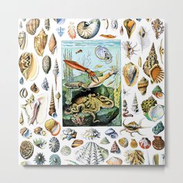 Adolphe Millot "Molluscs" Metal Print | Scientific, French, Adolphemillotart, Illustrations, Biology, Scientist, Botanist, Nature, Botanical, Molusques 