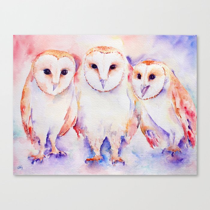 Watercolor Barn Owl Family 3 Barn Owls Abstract Canvas Print By