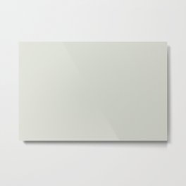 Pale Mint Green Gray Solid Color Pairs PPG Wayward Willow PPG1033-2 - All One Single Shade Hue Metal Print | Grey, Solidgreen, Light, Pale, Gray, Color, Allcolor, Greensolid, Colour, Colors 