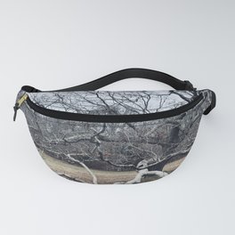 North and State Beloved Tree Fanny Pack