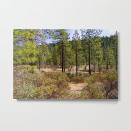 Sugar Pine Reservoir Metal Print | Photo, Nature, Forest, Bushes, Green, Shrubbery, Landscape, Color, Digital, Trees 