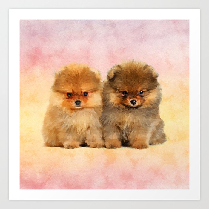 Cute Pomeranian Puppies Art Print By K9printart Society6