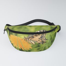 The Old World swallowtail (Papilio machaon) Fanny Pack
