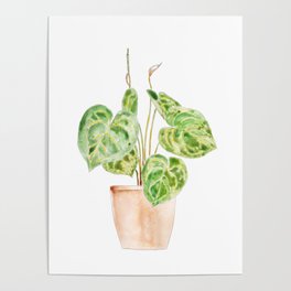 green indoor plant watercolor 1 Poster