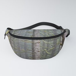 Pacfic Northwest Mountain Forest III - 108/365 Landscape Photography Fanny Pack