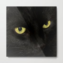 Yellow Eyes Metal Print | Mesmorizing, Eyes, Cateyes, Yellow, Blackcat, Kitty, Eyeofthecat, Photo, Bombaycat, Digital 