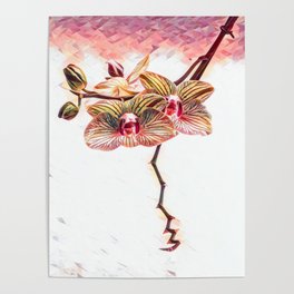 Sprite Orchid  Poster