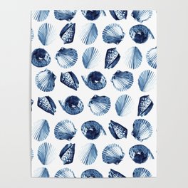 Sea Shell Blue White Watercolor Pattern Poster
