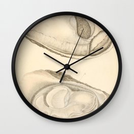 Oyster Anatomy Wall Clock | Oysterbar, Seafood, Oyster, Art, Chef, Restaurant, Ocean, Food, Oysterprint, Cooking 