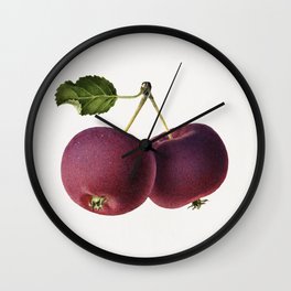 Vintage apple on a twig Wall Clock | Pdwatercolorfruit, Illustration, Poster, Wallart, Artprint, Painting, Pippin, Sprig, Frame, Vintage 