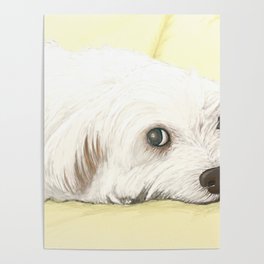 White Dog is Waiting for Poster