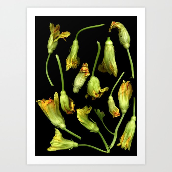 Squash Blossoms Art Print