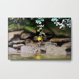 Low Tide On The Riverbank Metal Print | Water, Leaf, Moss, Mud, Yellow, River, Other, Digital, Photo, Color 