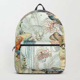 Ocean by Adolphe Millot // XL 19th Century Starfish Jellyfish Coral Reef Science Textbook Artwork Backpack | Dorm Room Design, An Abstract Biology, Aesthetic Of Country, Rustic Desert Earthy, Preschool School, Trendy Decor Vibes, Modern And Vintage, Creatures Octopus, In The 60S 70S Style, Mid World Pictures 