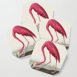 American Flamingo-Audubon Birds of America Coaster