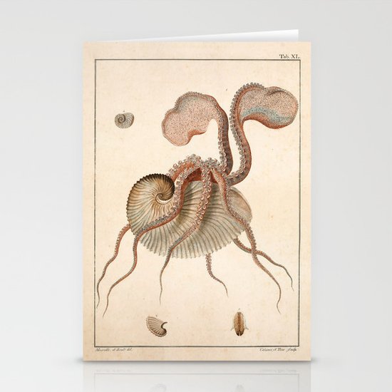 Argonauta Argo octopus (paper nautilus) from an Italian natural history  book, 1791 Stationery Cards by Maria Popova | Society6