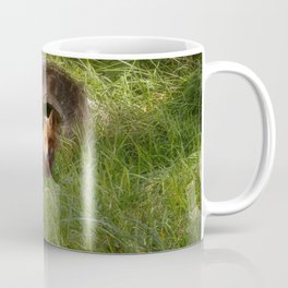 Fox in a Log Coffee Mug | Fox, Kathyweaver, Nature, Log, Photo, Alaska, Wildlife, Maumeebay, Ohio 