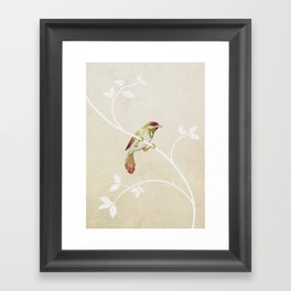 bird n° 4 Framed Art Print
