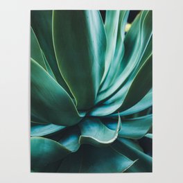 Layered In Flora | Plant Texture Photography Poster