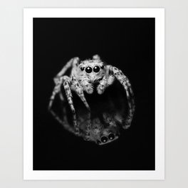 Spider Reflection Art Print