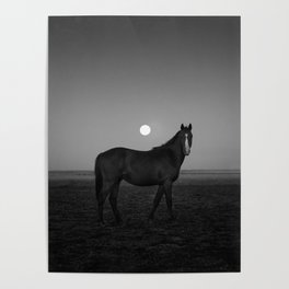 The Horse and the Moon Poster