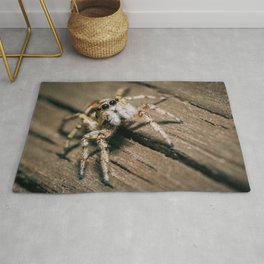Don't Step on a Crack! Macro Jumping Spider Photograph Rug | World, Bugs, Jumpingspider, Nature, Cute, Canada, Digital, Hdr, Halloween, Photo 
