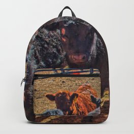 Last Year's Calves Backpack | Digital, Color, Bovine, Blackangus, Cows, Photo, Animal, Livestock, Cattle, Charolais 