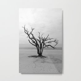 Botany Bay 2 Metal Print | Photo, Black and White, Landscape, Nature 
