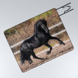 Portrait Black Friesian Horse Running Autumn Picnic Blanket