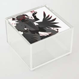 Rise Acrylic Box