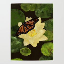 Butterfly on Yellow Waterlily- Digital Painting Poster