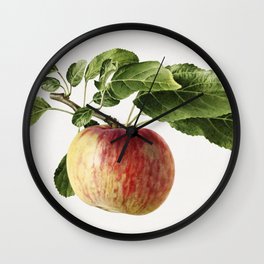 Vintage apple Wall Clock | Apple, Pippin, Pdwatercolorfruit, Illustration, Vintage, Codling, Poster, Frame, Wallart, Artprint 