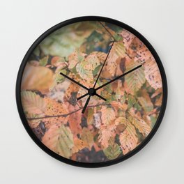 Autumn ground Wall Clock