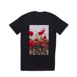 red roses in italy T Shirt | Photo, Rose, Roses, Flowers, Rosengarten, Rosegarden, Redroses, Fench, Redrose 