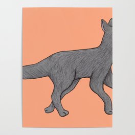 Grey Dog Poster