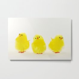Chicks Metal Print | Cute, Small, Easter, Chick, Animal, Isolated, Yellow, Photo, Digital, Funny 