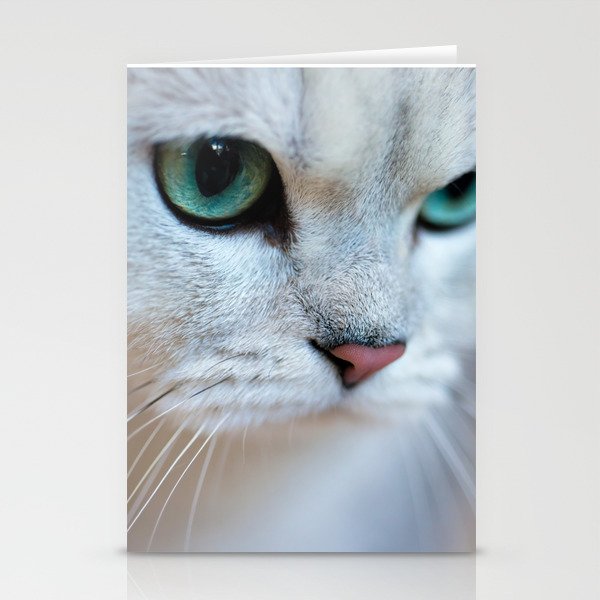 British Shorthair Silver Shaded Chinchilla Cat Stationery Cards By
