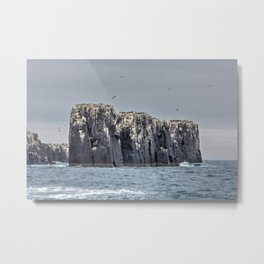 The Farne Island cliffs Metal Print | Sea, Photo, Color, Wildlife, 0Cean, Outdoors, Atlantic, Northumberland, Bird, Nature 