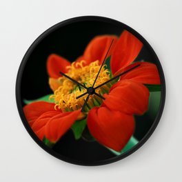 Orange Beauty Wall Clock | Mexicantournesol, Photo, Flower, Flora, Bright, Mexicansunflower, Floral, Blossom, Treemarigold, Bloom 