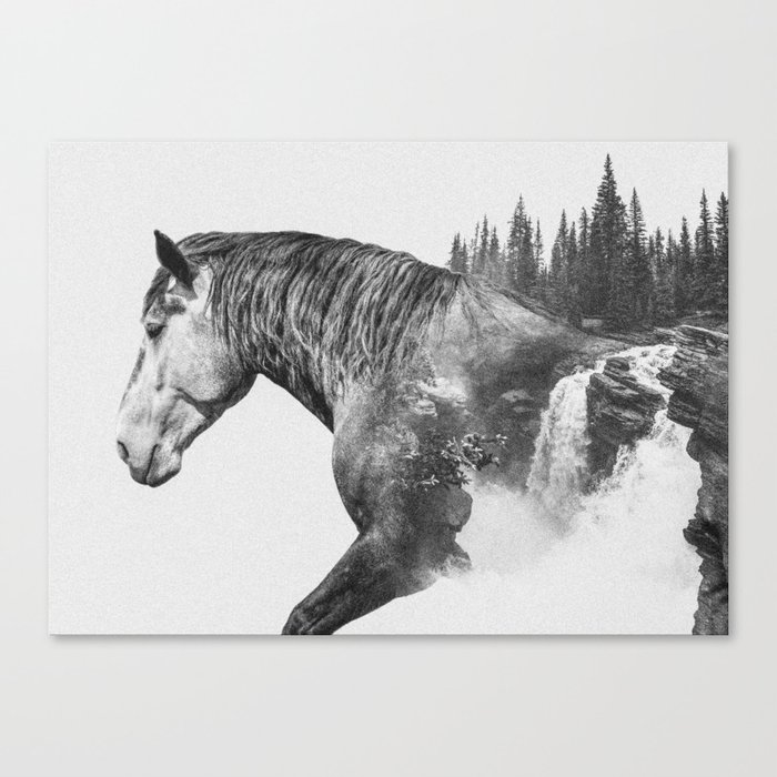 Horse Abstract Photography Art Black And White Animal