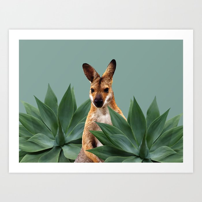 kangaroo between Agave Leaves Art Print by MoveArt Society6