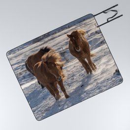 Icelandic Horses Running Around On Field Picnic Blanket